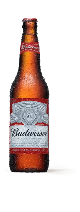 Imagem de uma garrafa de cerveja Budiuaiser 600ml