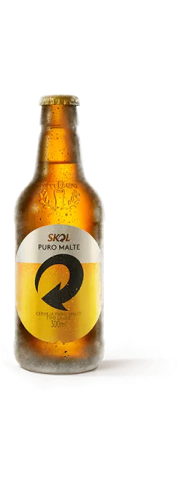 Imagem de uma garrafa de cerveja Skol Puro Malte 300ml